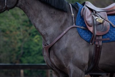 Dy'on D Collection Long Bridge Breastplate