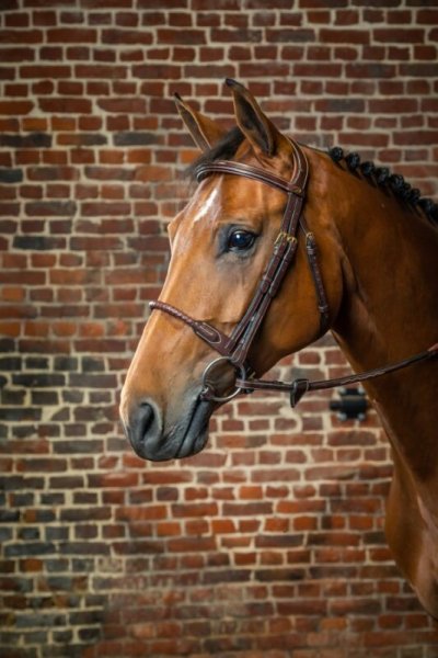 Dy'on D Collection Leather Covered Rope Noseband - Image 2