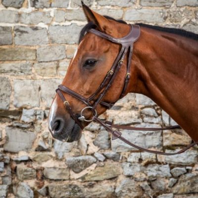Dy'on D Collection Difference Flash Noseband  Bridle