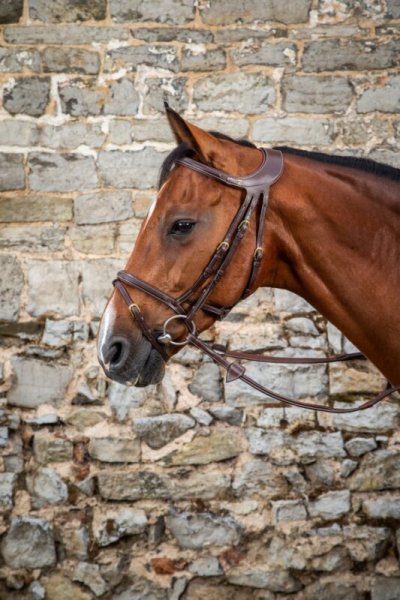 Dy'on D Collection Difference Flash Noseband  Bridle