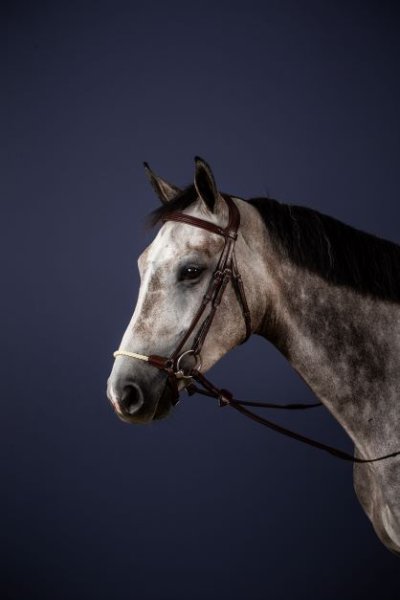Dy'on New English Collection Drop Rope Noseband Bridle