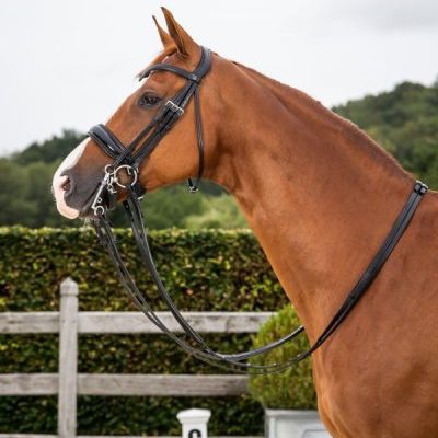 Dy'on Flat Dressage Collection Large Crank Patent Noseband Double Dressage Bridle
