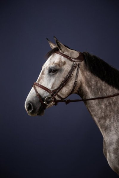 Dy'on New English Collection Difference Flash Noseband  Bridle
