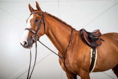 Dy'on Hunter Collection Standing Martingale - Image 2