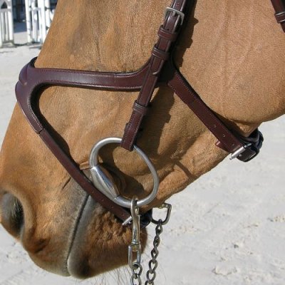 Dy'on New English Collection X-Fit Noseband - Image 3