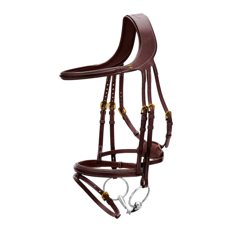 Dy'on D Collection Difference Flash Noseband Bridle