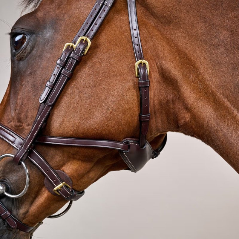 Dy'on D Collection Difference Flash Noseband Bridle - Image 2