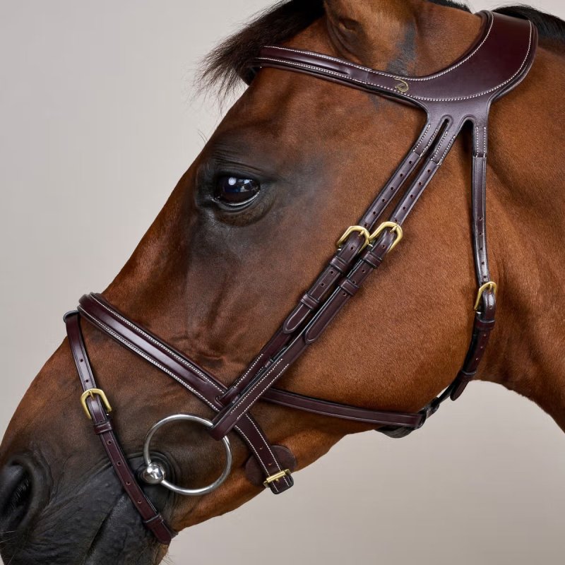 Dy'on D Collection Difference Flash Noseband Bridle - Image 3