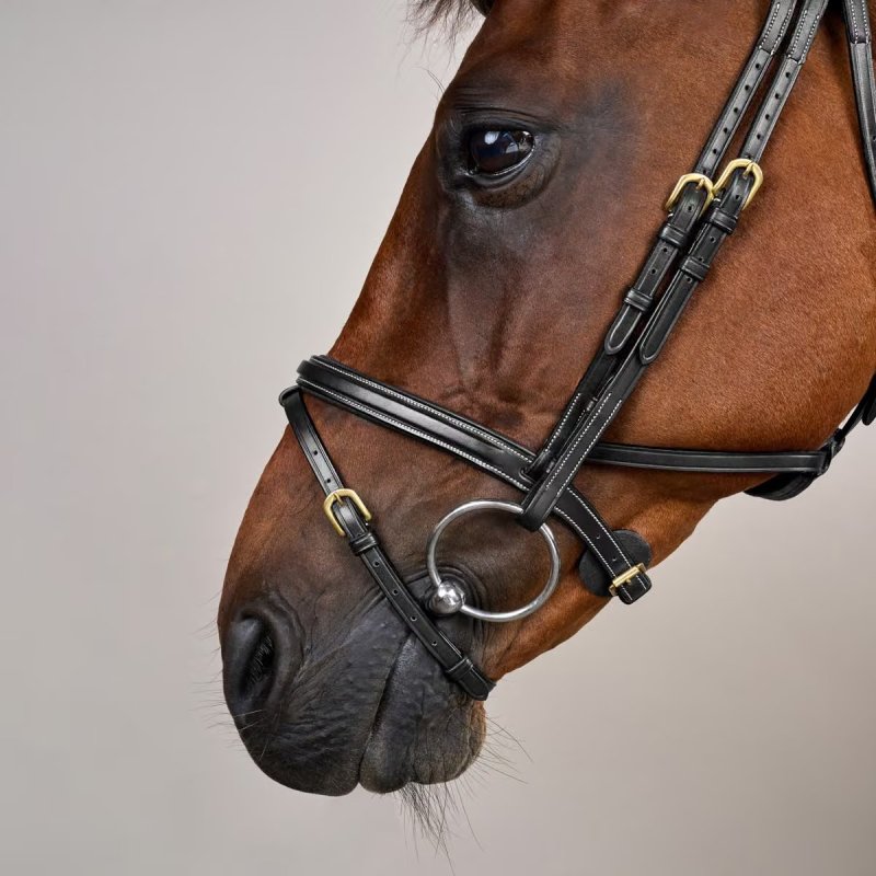 Dy'on D Collection Difference Flash Noseband Bridle - Image 5
