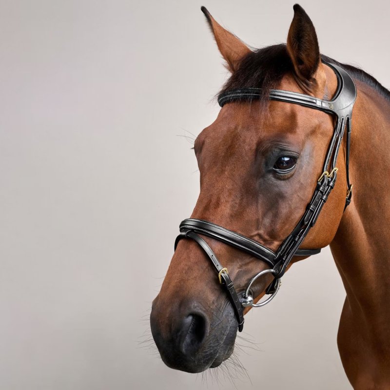 Dy'on D Collection Difference Flash Noseband Bridle - Image 6