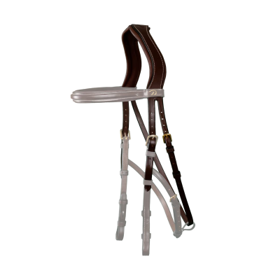 Dy'on D Collection Hackamore Headpiece