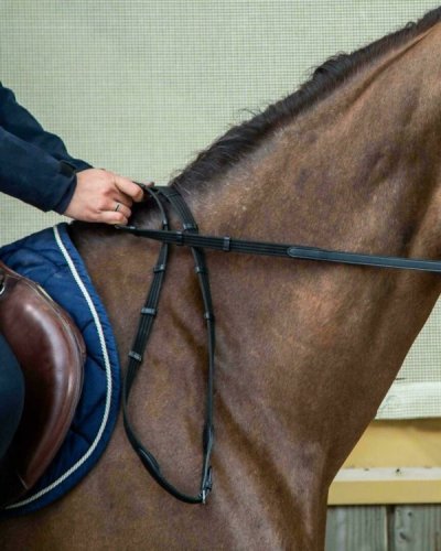 Dy'on Flat Dressage Collection 5/8" Web Reins with 9 Leather Loops - Image 2