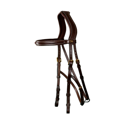 Dy'on D Collection Hackamore Bridle