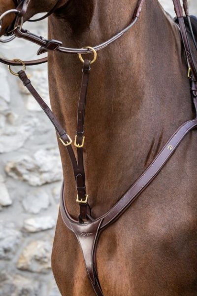 Dy'on D Collection Running Martingale Attachment - Image 3