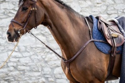 Dy'on D Collection Standing Martingale Attachment