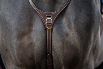 Dy'on D Collection “Yoke” Martingale - Image 2