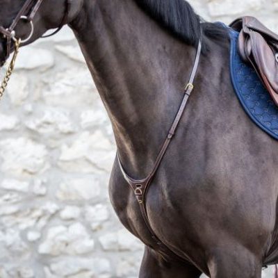 Dy'on D Collection “Yoke” Martingale