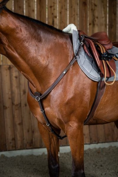 Dy'on Working Collection Breastplate