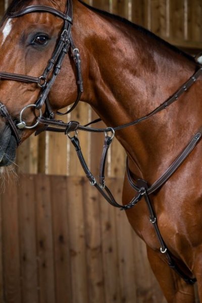 Dy'on Working Collection Running Martingale Attachment