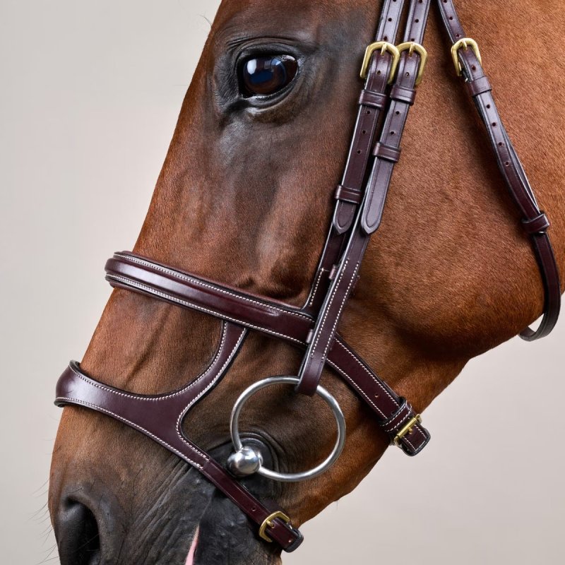 Dy'on D Collection Double Noseband Bridle - Image 2