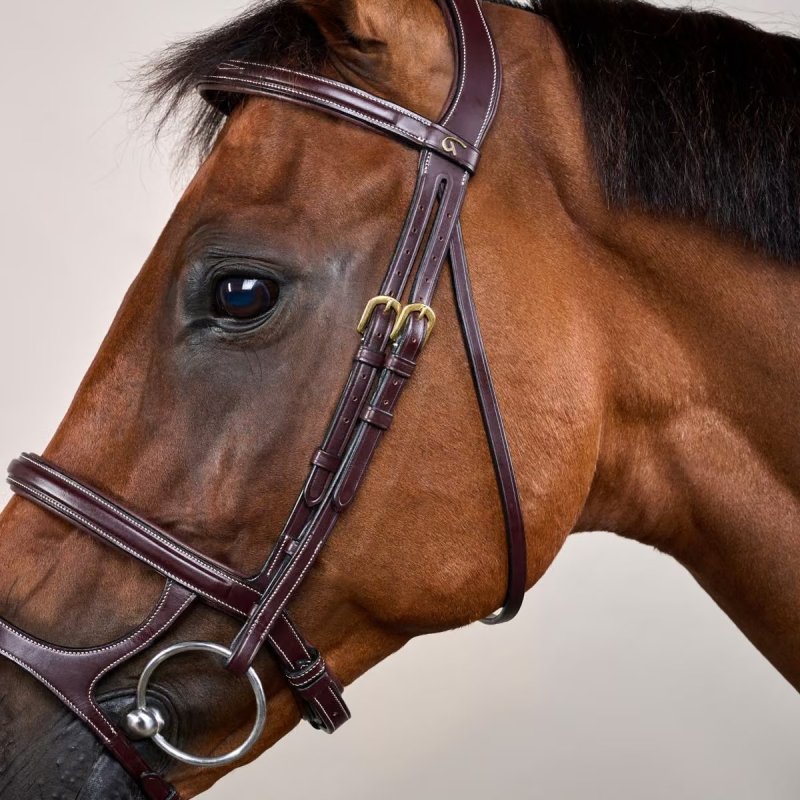 Dy'on D Collection Double Noseband Bridle - Image 3