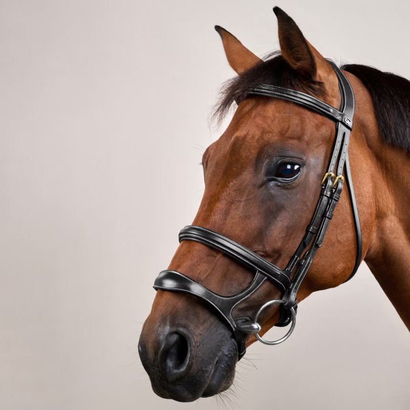 Dy'on D Collection Double Noseband Bridle - Image 5