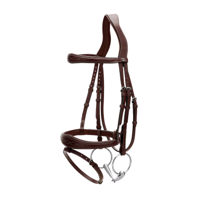 Dy'on US Collection Anatomic Flash Noseband Bridle