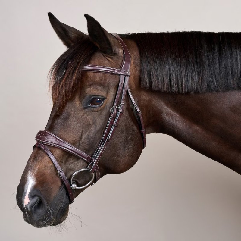 Dy'on US Collection Anatomic Flash Noseband Bridle - Image 2