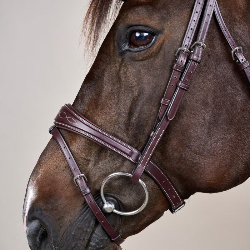 Dy'on US Collection Anatomic Flash Noseband Bridle - Image 3