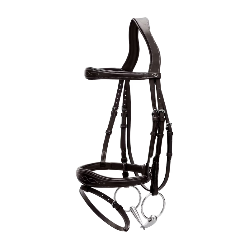 Dy'on US Collection Anatomic Flash Noseband Bridle - Image 4