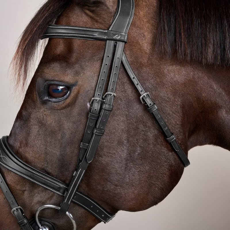 Dy'on US Collection Anatomic Flash Noseband Bridle - Image 5