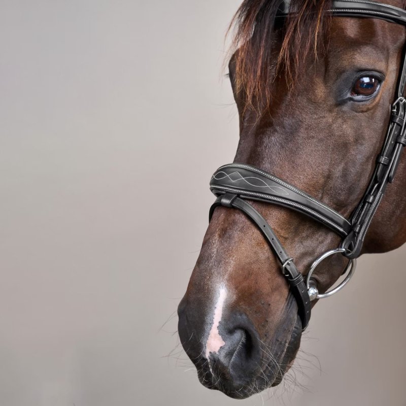 Dy'on US Collection Anatomic Flash Noseband Bridle - Image 6