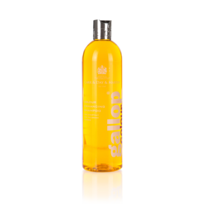 CDM Gallop Colour Shampoo – Chestnut & Palomino