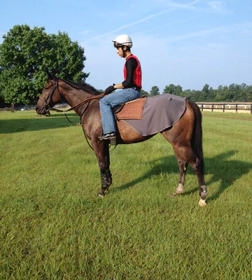 Fenwick Equestrian Liquid Titanium Quarter Sheet
