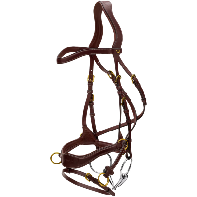 Dy'on D Collection D Motion Bridle