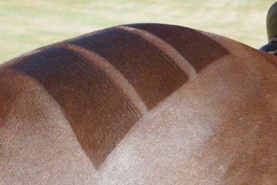 Double-Sided Mane/Quarter-Marking Comb - Image 2