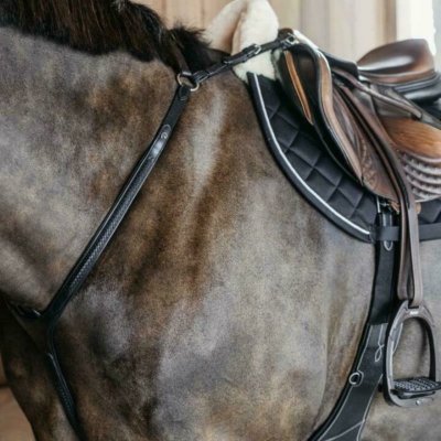 Dy'on Plaited bridge breastplate - Image 2