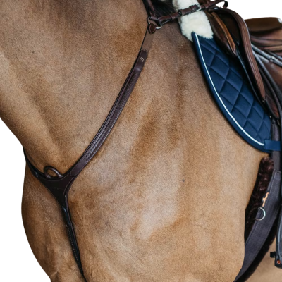 Dy'on New English Collection Plaited Bridge Breastplate