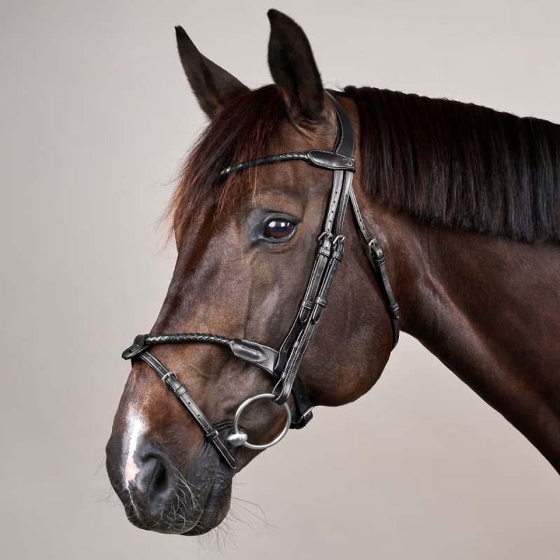 Dy'on New English Collection Braided Flash Noseband Bridle - Image 3