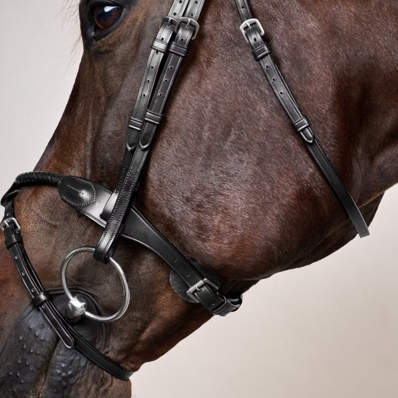 Dy'on New English Collection Braided Flash Noseband Bridle - Image 4