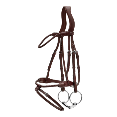 Dy'on New English Collection Braided Flash Noseband Bridle