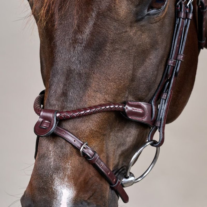 Dy'on New English Collection Braided Flash Noseband Bridle - Image 5