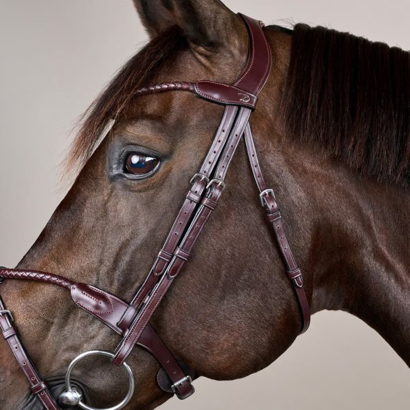 Dy'on New English Collection Braided Flash Noseband Bridle - Image 6