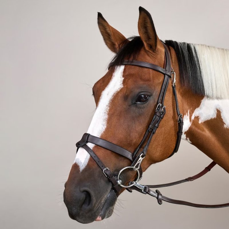 Dy'on Working Collection Flat Leather Bridle With Snap Cheeks - Image 3