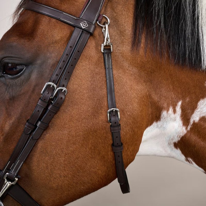 Dy'on Working Collection Flat Leather Bridle With Snap Cheeks - Image 4
