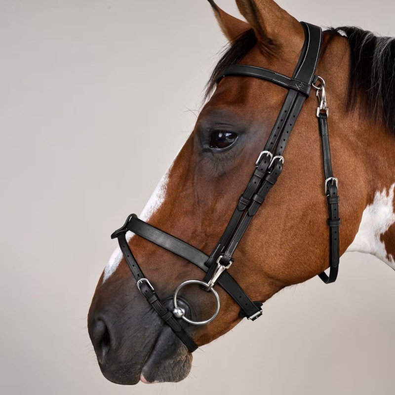 Dy'on Working Collection Flat Leather Bridle With Snap Cheeks - Image 5