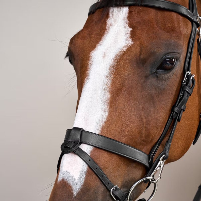 Dy'on Working Collection Flat Leather Bridle With Snap Cheeks - Image 6