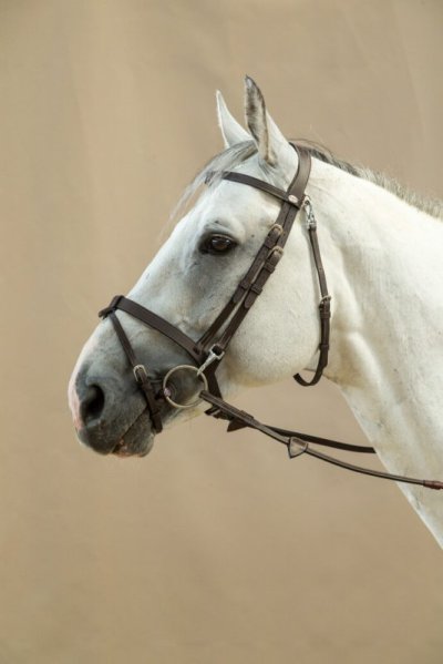 Working Collection Flash Noseband Bridle With Snap Cheeks - Image 2