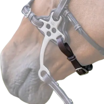 Jump'in Leather Curb Chain for Hackamore