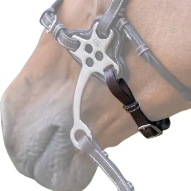 Jump'in Leather Curb Chain for Hackamore